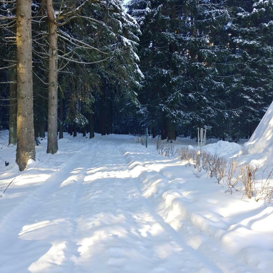Wanderhuette Zum Bernhardsthal Villa Kültér fotó